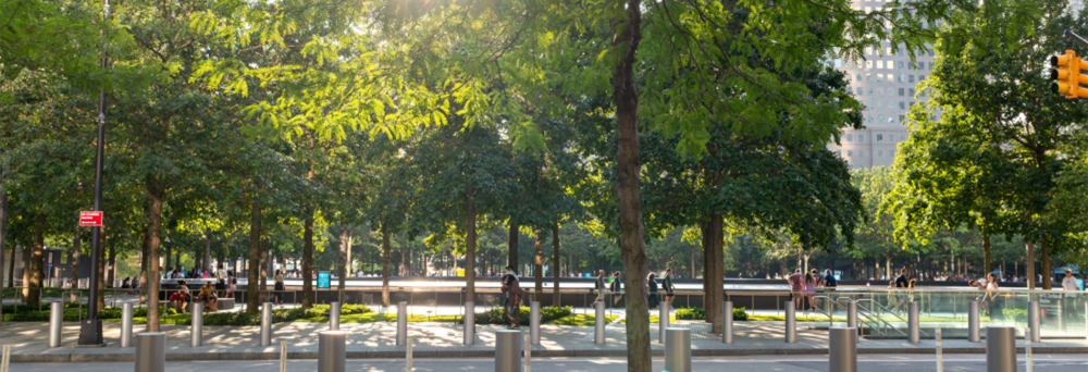 9/11 Memorial & Museum | World Trade Center
